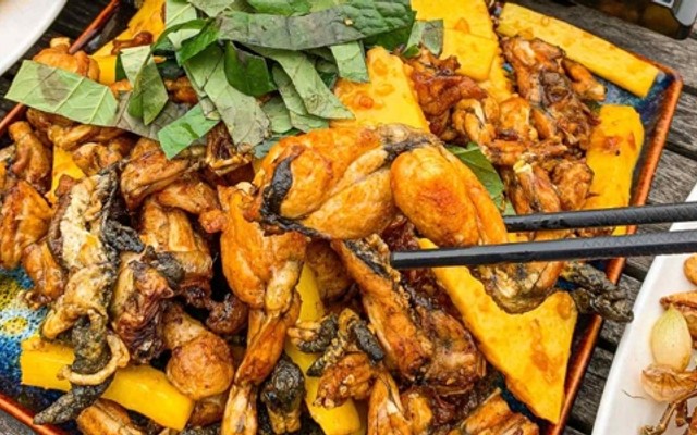 Lẩu Ếch Đồng Dương Gia