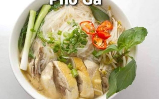 Phở Thu Hiền - Gà Ta - Nguyễn Duy Trinh