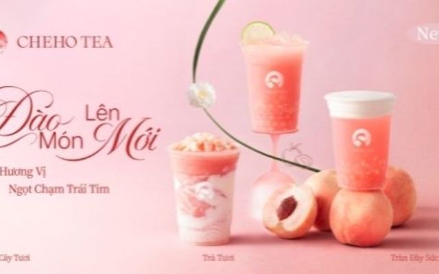 CHEHO TEA - Hồ Tùng Mậu