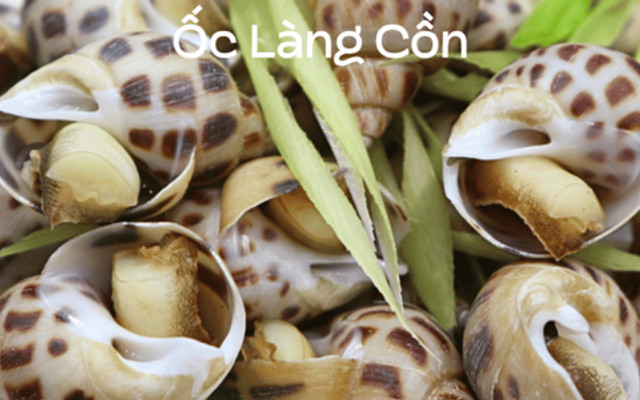 Cua Cá Sài Gòn - Ốc Hương, Cua Cà Mau - Nguyễn Thanh Sơn