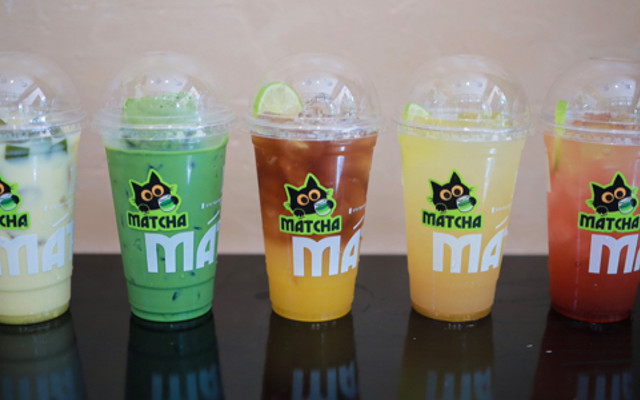 MátCha Mèo - Chợ Đêm Biên Hùng