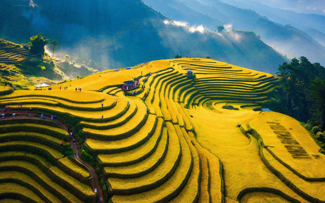 Ban Tang - Testing  - Trần Hưng Đạo