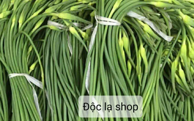 Độc Lạ - Rau Củ - Nhiêu Tứ