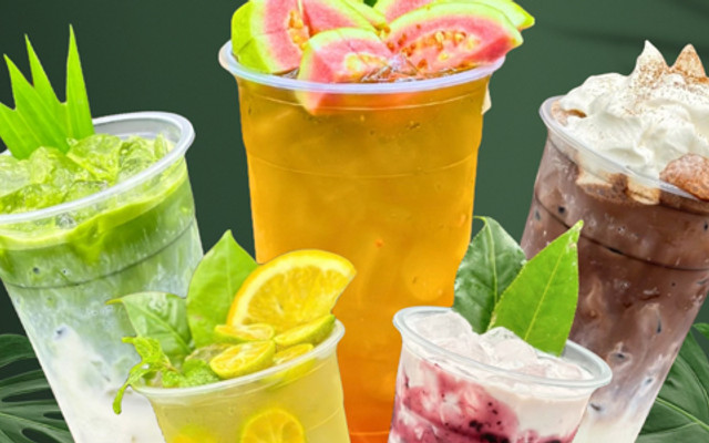 Gấu Shi - Cafe, Matcha & Trà - Ấp Bắc