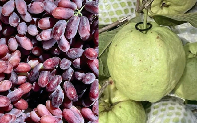 Lề Trái Cây - Trái Cây Tươi & Gọt Sẵn - Khu Vực Thạnh Huề