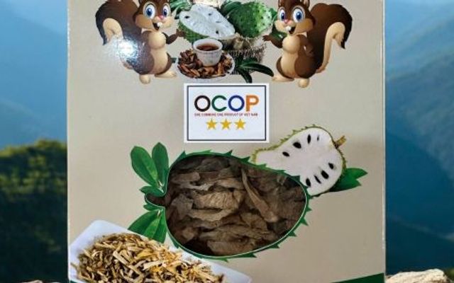 Ocop Tây Nguyên - Hàng Nông Sản - Đường 4a