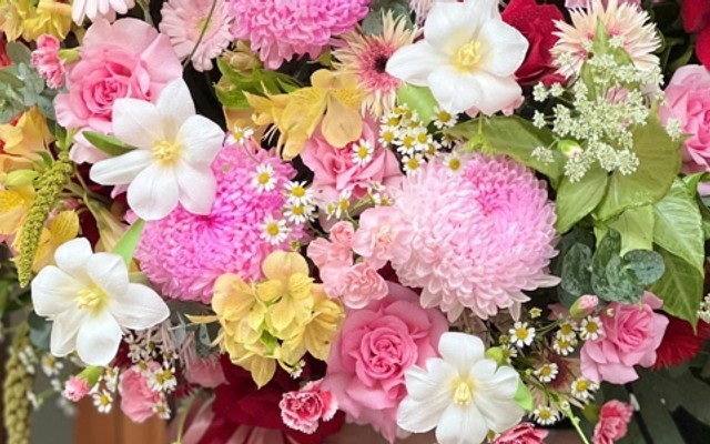 Tiệm Hoa SAN Flower - Hoa Tươi - Nguyễn Đình Chiểu