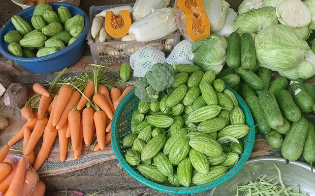 HẠNH - RAU, CỦ & QUẢ - Trần Thái Tông