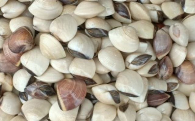 Mạnh Hiền - Gà Nóng - Chợ Tân Trụ