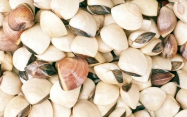 Hải Sản Tươi Sống - Thanh Hằng - Trần Thái Tông