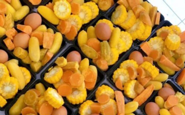 Milk Healthy House - Nguyễn Tư Giản