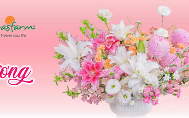 Dalat Hasfarm Shop Hoa Tươi - Lạc Long Quân Hà Nội