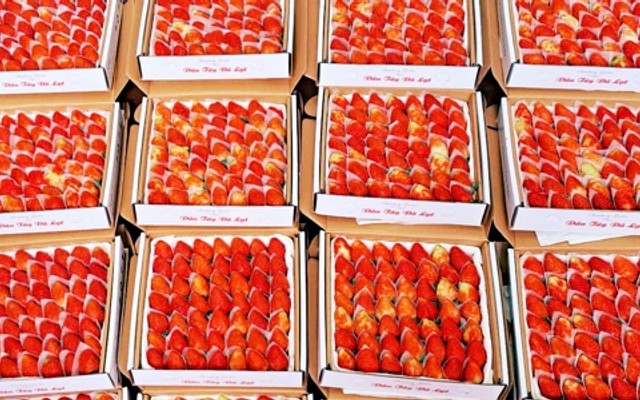 Dâu Tây Đà Lạt - 8 Ngô Quyền