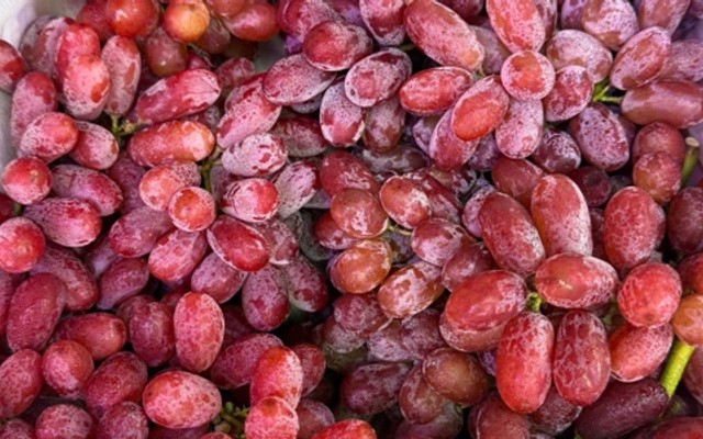 Shop Trái Cây Thanh Uyên