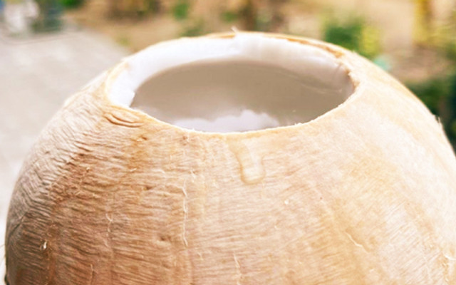 Ba Farm - Dừa Xiêm Xanh Bến Tre