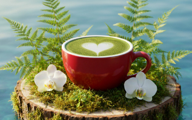 Lane 8 Coffee - Cafe Và Các Loại Đồ Uống - Phương Liệt