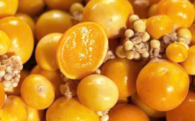 CHIPFOOD - Chân Gà Sốt Thái - Cư Xá Phú Lâm B
