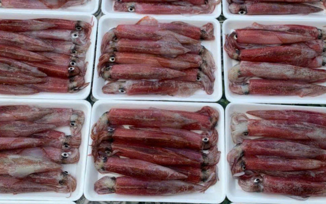 Măm Măm Food - Mực Trứng & Hải Sản Đảo Phú Quý - Trịnh Đình Trọng