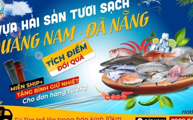 VỰA HẢI SẢN TƯƠI SẠCH QUẢNG NAM ĐÀ NẴNG - Hải Sản Đông Lạnh - Tân Thành
