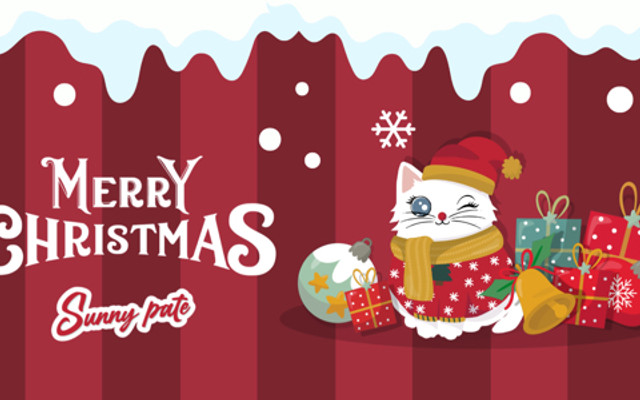 Pate Sunny - Pate Tươi - Lâm Văn Bền
