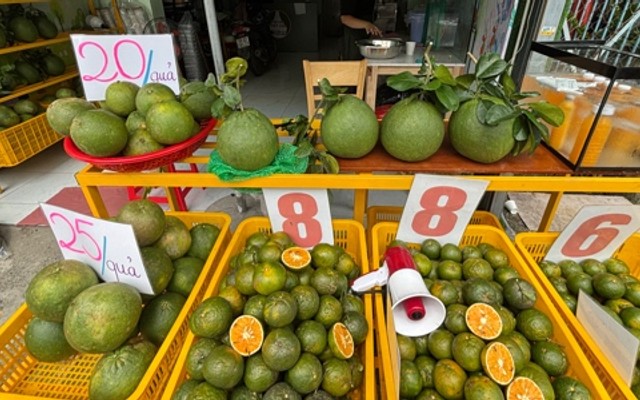 TRÁI CÂY TƯƠI LIN HOME - Cam Ép