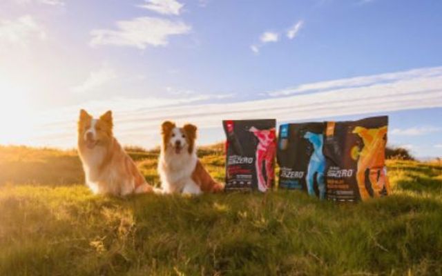 Beo Mập Ú - Pet Shop - Nguyễn Hữu Thọ