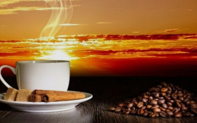 TRUE CAFE - KÊNH 19/5