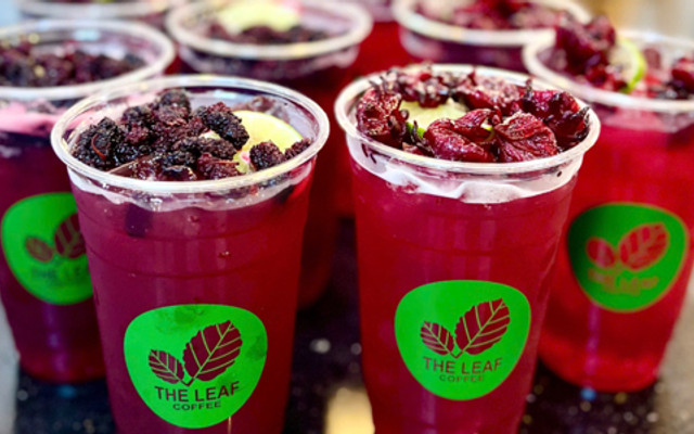 The Leaf - Coffee & Tea - Đường D1