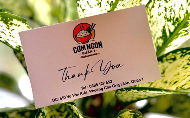 Cơm Ngon Quận 1 - Võ Văn Kiệt