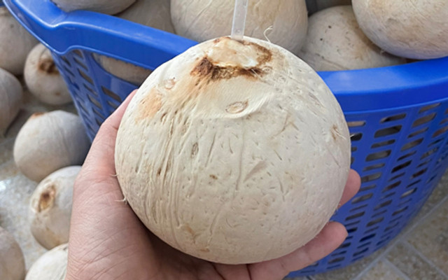 Phương Dừa Xiêm Trọc