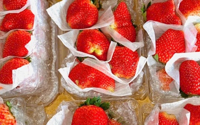 Thảo Nhi Fruits