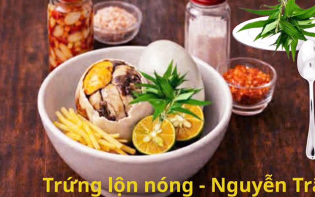 Trứng Lộn Nóng - Nguyễn Trãi