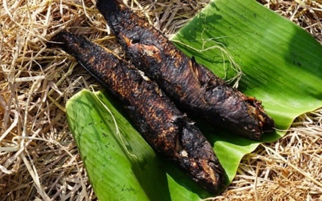 Lục Vân Tiên - Cá Lóc Đồng Nướng Rau Răm