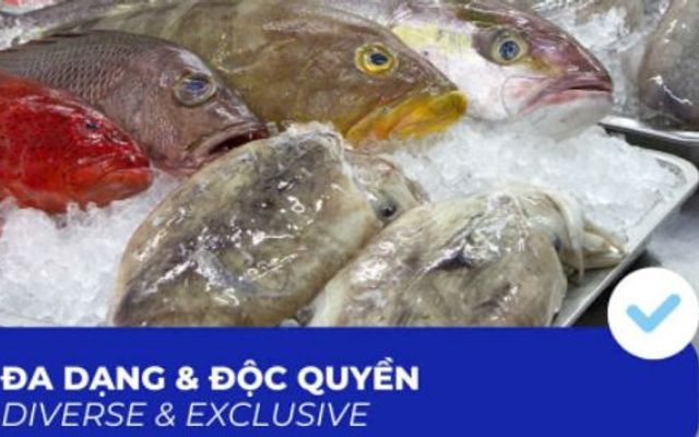 The Daily Seafood - Cửa Hàng Bán Lẻ Thủy Hải Sản