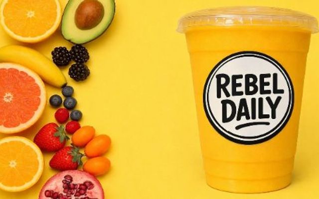 REBEL DAILY - Huỳnh Tấn Phát