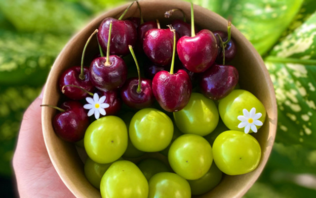 Trái Cây Tươi Mix Nấm Fruits